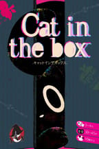 Cat in the box