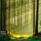 Black Forest